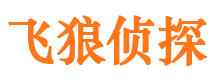 潢川市私家侦探